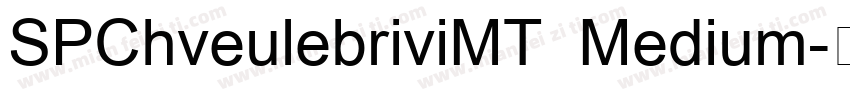 SPChveulebriviMT Medium字体转换